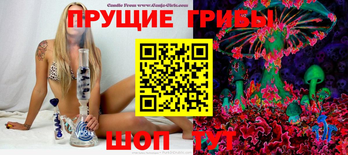 Псилоцибиновые грибы мицелий Новотроицк