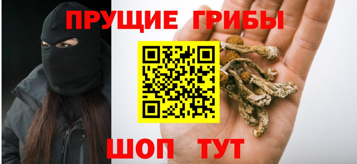 Новотроицк  Галлюциногенные грибы ЛСД  Вход с VPN  Псилоцибиновые грибы Psilocybine cubensis 